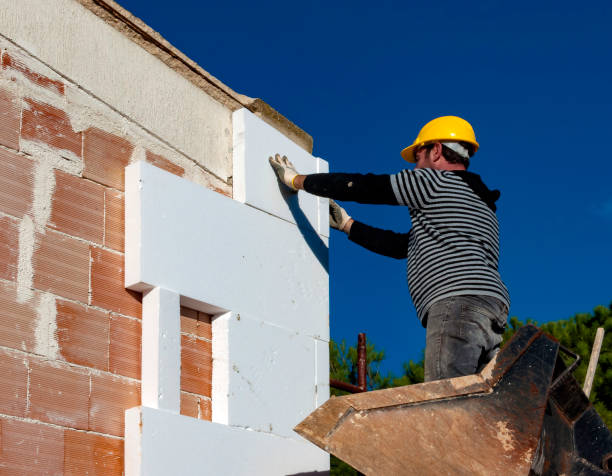 Best Insulation Maintenance and Repair in Breaux Bridge, LA