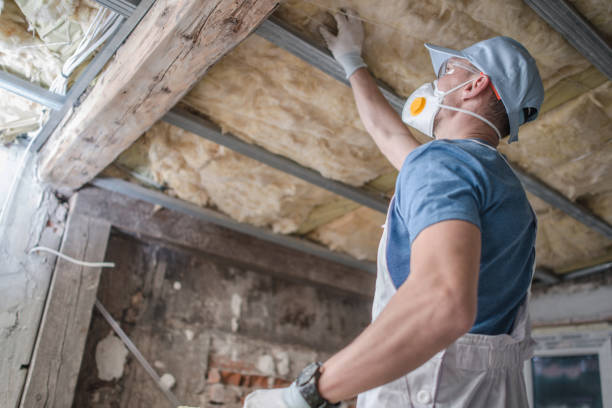 Best Types of Insulation in Breaux Bridge, LA