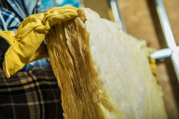 Best Types of Insulation in Breaux Bridge, LA