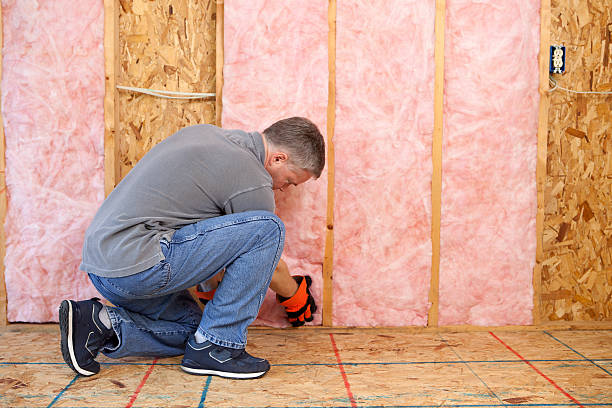 Best Insulation Maintenance and Repair in Breaux Bridge, LA