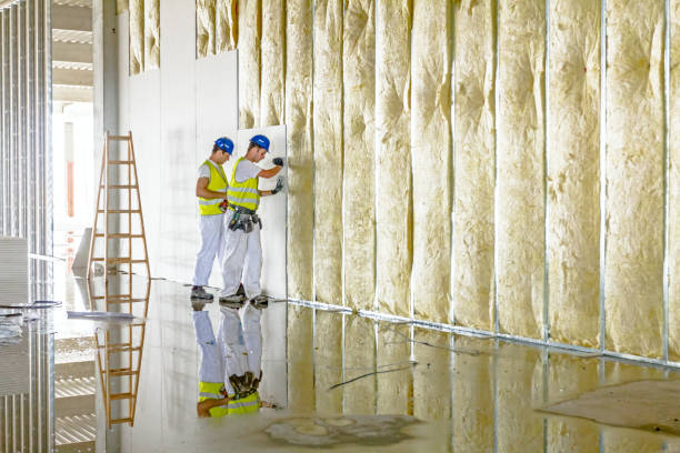 Best Insulation Installation Services in Breaux Bridge, LA